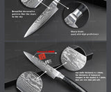 high quality 5" Japanese VG10 Damascus steel kitchen knife
