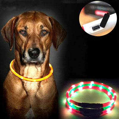 Dog Collar Led Lights Adjustable USB luminous Led Dog Collar USB charging