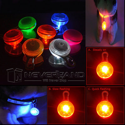 Dog LED Night Safety Flash Light Pet Clip