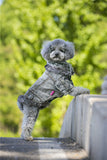 Denim Dog Clothes Winter Fur Collar Dog Coat Thick Warm Pet Clothes Jeans