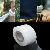 100m Self-adhesive Fruit Tree Grafting Tape