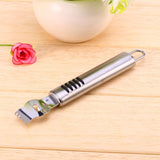 Stainless Steel Fruit Peelers Lemon Orange Zester