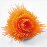 Plastic Slicers Vegetable Fruit Spiral