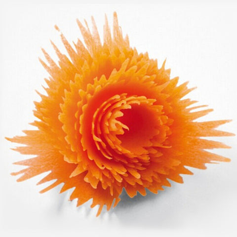 Plastic Slicers Vegetable Fruit Spiral