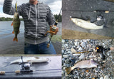 1.8m 0.8-5g Lure Weight Ultralight Spinning Rods 2-5LB Line