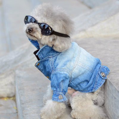 Dog Clothes Denim jacket