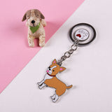 Chihuahua pet dogs KeyChains