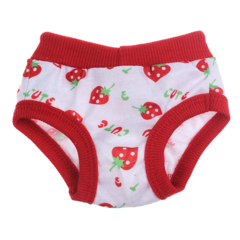 Hot Product Female Physiological Menstrual Hygiene Pants Estrus Underwear