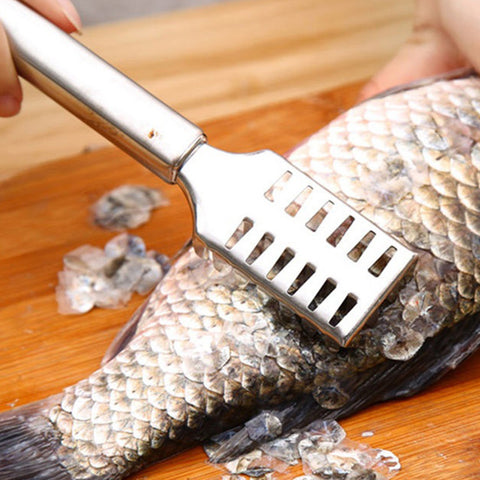 scales brush shaver Remover Cleaner