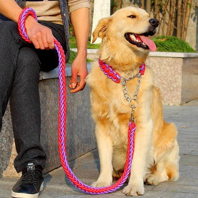Big Pet Dedicated Dog Leash And Collar Strands Plaited Rope