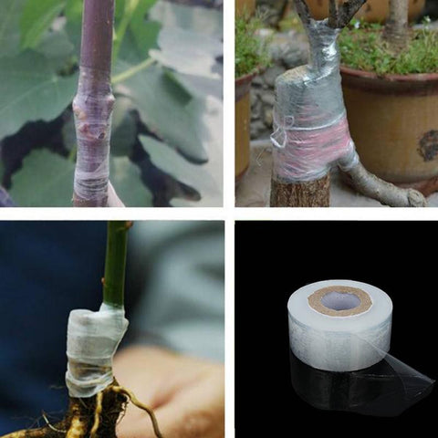 3cmx100m Plants Tools Nursery Grafting Tape Stretchable Self-adhesive