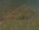 Crony Stream Series STS-602 UL Spinning Rod Field & Stream 2pieces Fishing Rods 6'0" 1-3g Lure Weight 2-4lb Line Class