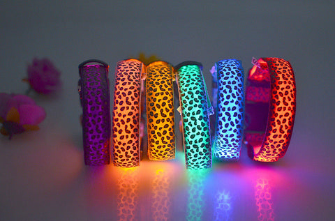 Luminous pet LED luminous pet spots Fluorescent luminous leopard dog collar Articles