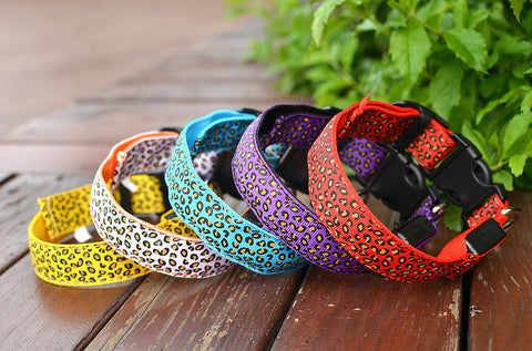 Luminous pet LED luminous pet spots Fluorescent luminous leopard dog collar Articles
