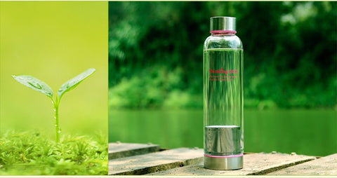 550ML My Bottle Glass Tea Infuser Water Bottle With Stainless Steel Filter