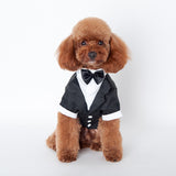 Hot Pet Dogs Cat Clothing Prince Wedding Suit Tuxedo Bow Tie Puppy Clothes Coat