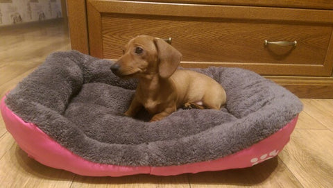 Pet Dog Bed Warming Dog House Soft Material 5 Colors