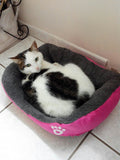Pet Dog Bed Warming Dog House Soft Material 5 Colors