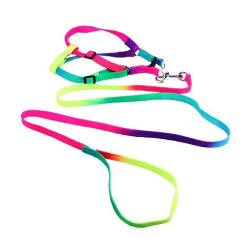 Adjustable Rainbow color Pet Dog Leash