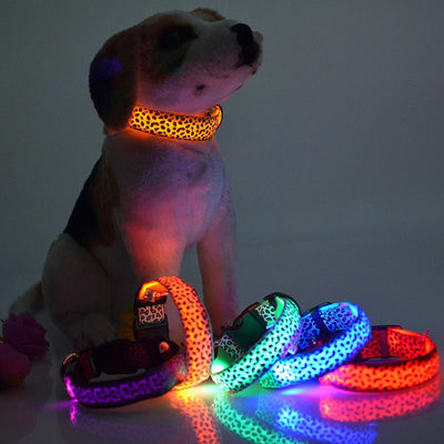 Luminous pet LED luminous pet spots Fluorescent luminous leopard dog collar Articles