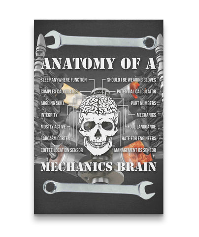 Mechanics brain anatomy