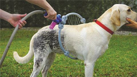 Pet Dog Cat Bathing Cleaner 360 Degree Shower Tool Kit