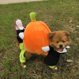 Funny Pumpkin Halloween Dog Costumes