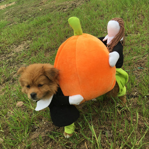 Funny Pumpkin Halloween Dog Costumes