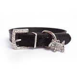 PU Leather Dog Collar Rhinestone Puppy Buckle Puppy Charm Pet Collars