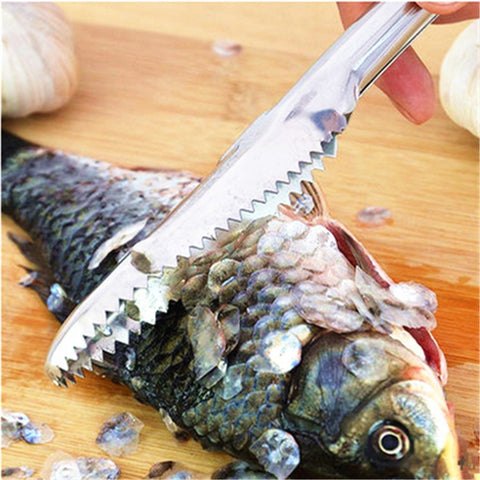 Stainless Steel Scraping Fish Scaler