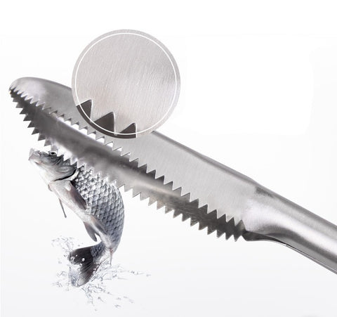 Stainless Steel Scraping Fish Scaler