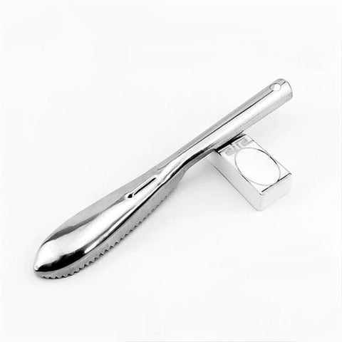 Stainless Steel Scraping Fish Scaler