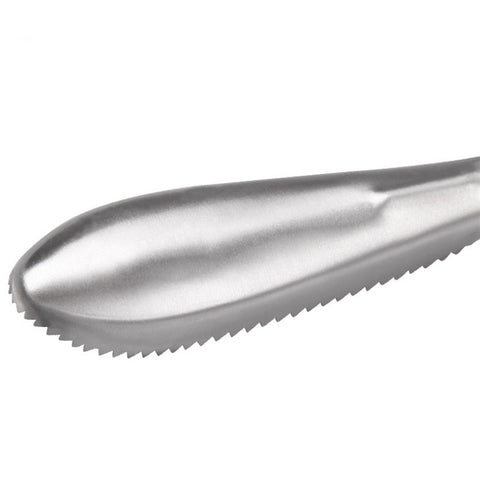 Stainless Steel Scraping Fish Scaler