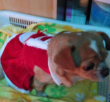 Santa Dog Costume Christmas