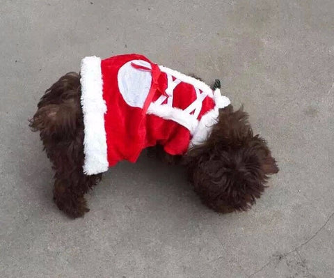 Santa Dog Costume Christmas