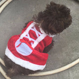 Santa Dog Costume Christmas