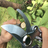 Grafting Tool High Carbon Steel Pruning Shears Bonsai