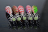 5pcs/Lot 10cm 6g 5 Color Fishing Lure Luminous Squid Octopus Hook