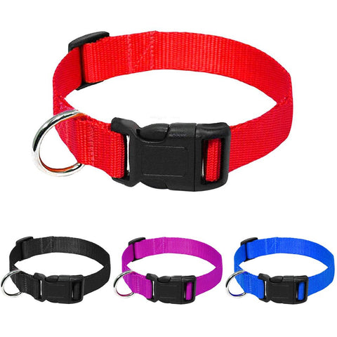 Nylon Webbing Dog Collar Heavy Duty Clip Buckle Pet Collar for Small Medium Large Dogs