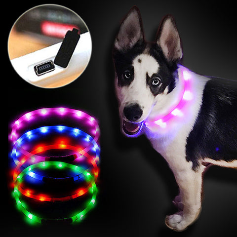 Dog Collar Led Lights Adjustable USB luminous Led Dog Collar USB charging