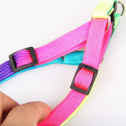 Adjustable Rainbow color Pet Dog Leash