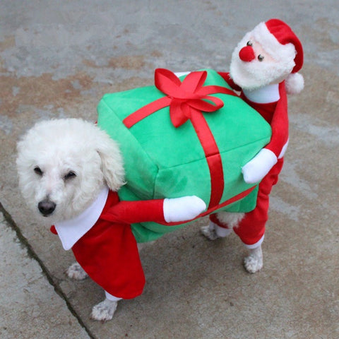 Christmas Dog Costumes Funny Santa Claus