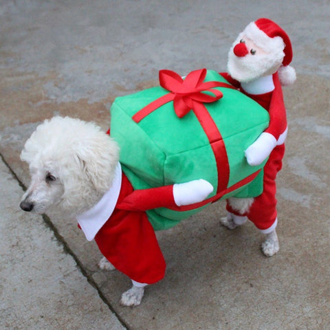 Christmas Dog Costumes Funny Santa Claus