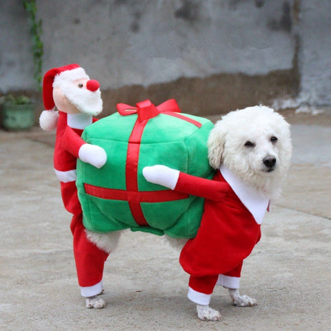 Christmas Dog Costumes Funny Santa Claus