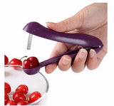 Cherry Pitter Seed Tools