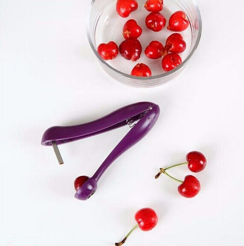 Cherry Pitter Seed Tools