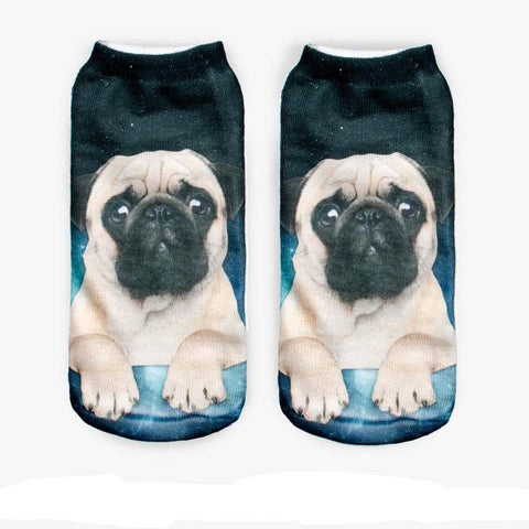 Pug Dog Socks