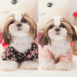 Clothing Dog Dress Clothes Floral Japanese Kimono Bow Tie