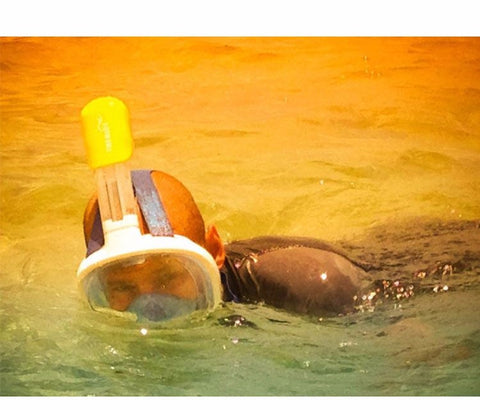 2017 Qiiwi New Arrival Snorkel Mask Full Face Design Snorkeling Diving Mask Anti-fog and Anti-leak Technology Water Sports