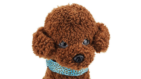 Dogstory Adjustable New Style Leopard Glow Cat Dog Collar Nylon